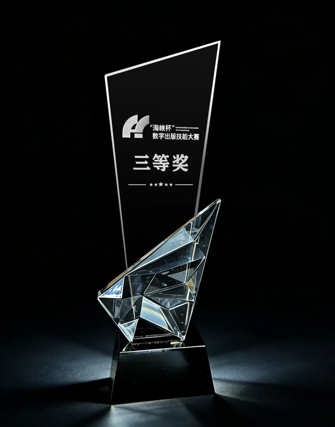 首届"海峡杯"数字出版技能大赛三等奖