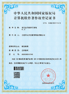 知识产权 12